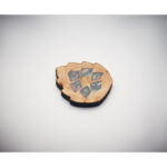 GROWTREE™ - Pappersset av furu - Bild 8