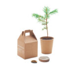 GROWTREE™ - Pappersset av furu - Bild 4