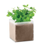 MINT - Kruka med Mynta