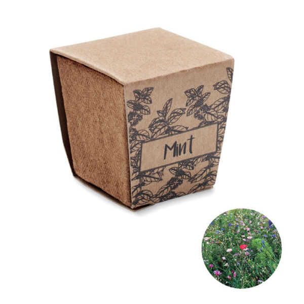MINT KIT - Odlingssats myntafrön